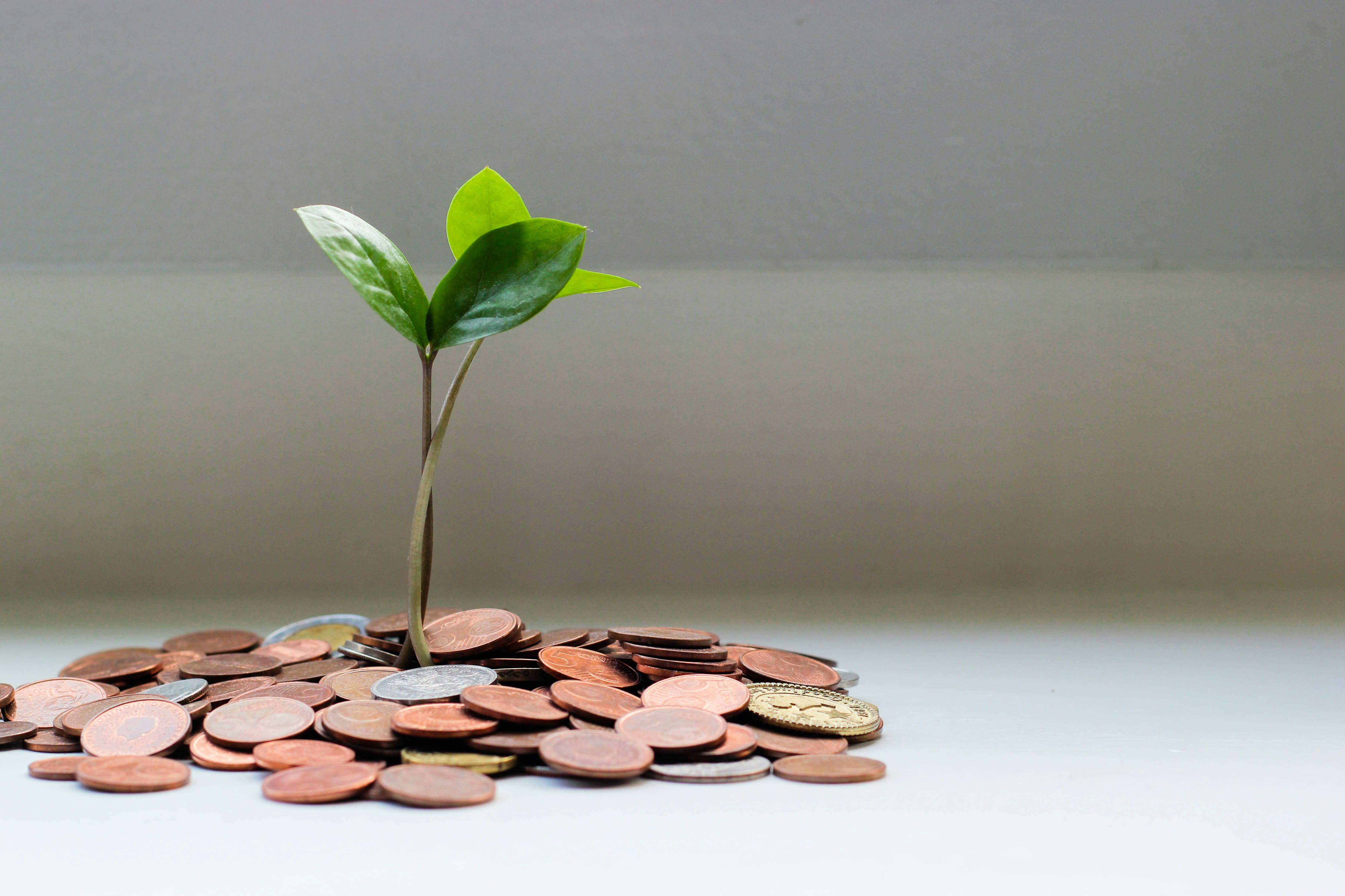 Growth Through Strategic Partnerships (1)
